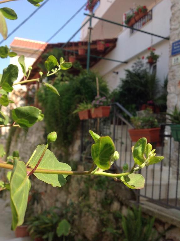 Ana Tudor Apartments Hvar Town Exterior foto